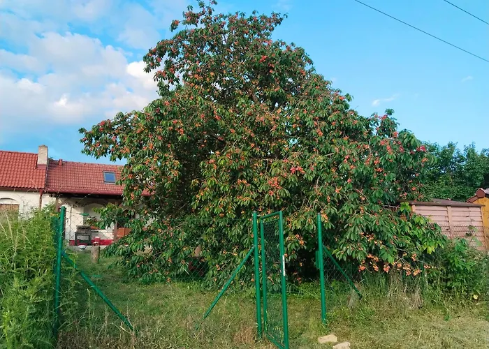 Sklep Jura * Prušánky
